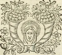 Picture 50 of 193 from D. Ioannis de Solorzano Pereira ... Emblemata centum, regio politica : ligneis laminis affabre caelata, vividisque et limitatis carminibus explicata, & singularibus commentarijs affatim illustrata : quibus, quicquid ad regum institutionem, et rectam reip. administrationem conducere & pertinere videtur, summo studio disseritur ... : cum quadruplici indice absolutissimo .. (1653), leaf 204