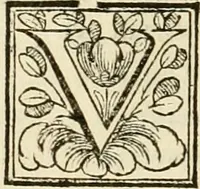 An illustration from D. Ioannis de Solorzano Pereira ... Emblemata centum, regio politica : ligneis laminis affabre caelata, vividisque et limitatis carminibus explicata, & singularibus commentarijs affatim illustrata : quibus, quicquid ad regum institutionem, et rectam reip. administrationem conducere & pertinere videtur, summo studio disseritur ... : cum quadruplici indice absolutissimo .. (1653)