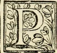 An illustration from D. Ioannis de Solorzano Pereira ... Emblemata centum, regio politica : ligneis laminis affabre caelata, vividisque et limitatis carminibus explicata, & singularibus commentarijs affatim illustrata : quibus, quicquid ad regum institutionem, et rectam reip. administrationem conducere & pertinere videtur, summo studio disseritur ... : cum quadruplici indice absolutissimo .. (1653)