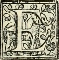An illustration from D. Ioannis de Solorzano Pereira ... Emblemata centum, regio politica : ligneis laminis affabre caelata, vividisque et limitatis carminibus explicata, & singularibus commentarijs affatim illustrata : quibus, quicquid ad regum institutionem, et rectam reip. administrationem conducere & pertinere videtur, summo studio disseritur ... : cum quadruplici indice absolutissimo .. (1653)