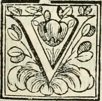 An illustration from D. Ioannis de Solorzano Pereira ... Emblemata centum, regio politica : ligneis laminis affabre caelata, vividisque et limitatis carminibus explicata, & singularibus commentarijs affatim illustrata : quibus, quicquid ad regum institutionem, et rectam reip. administrationem conducere & pertinere videtur, summo studio disseritur ... : cum quadruplici indice absolutissimo .. (1653)