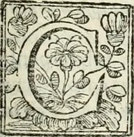 An illustration from D. Ioannis de Solorzano Pereira ... Emblemata centum, regio politica : ligneis laminis affabre caelata, vividisque et limitatis carminibus explicata, & singularibus commentarijs affatim illustrata : quibus, quicquid ad regum institutionem, et rectam reip. administrationem conducere & pertinere videtur, summo studio disseritur ... : cum quadruplici indice absolutissimo .. (1653)