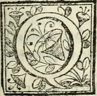 An illustration from D. Ioannis de Solorzano Pereira ... Emblemata centum, regio politica : ligneis laminis affabre caelata, vividisque et limitatis carminibus explicata, & singularibus commentarijs affatim illustrata : quibus, quicquid ad regum institutionem, et rectam reip. administrationem conducere & pertinere videtur, summo studio disseritur ... : cum quadruplici indice absolutissimo .. (1653)
