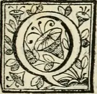 Picture 117 of 193 from D. Ioannis de Solorzano Pereira ... Emblemata centum, regio politica : ligneis laminis affabre caelata, vividisque et limitatis carminibus explicata, & singularibus commentarijs affatim illustrata : quibus, quicquid ad regum institutionem, et rectam reip. administrationem conducere & pertinere videtur, summo studio disseritur ... : cum quadruplici indice absolutissimo .. (1653), leaf 524