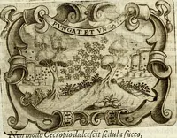 An illustration from D. Ioannis de Solorzano Pereira ... Emblemata centum, regio politica : ligneis laminis affabre caelata, vividisque et limitatis carminibus explicata, & singularibus commentarijs affatim illustrata : quibus, quicquid ad regum institutionem, et rectam reip. administrationem conducere & pertinere videtur, summo studio disseritur ... : cum quadruplici indice absolutissimo .. (1653)