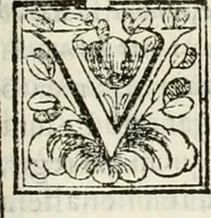 An illustration from D. Ioannis de Solorzano Pereira ... Emblemata centum, regio politica : ligneis laminis affabre caelata, vividisque et limitatis carminibus explicata, & singularibus commentarijs affatim illustrata : quibus, quicquid ad regum institutionem, et rectam reip. administrationem conducere & pertinere videtur, summo studio disseritur ... : cum quadruplici indice absolutissimo .. (1653)