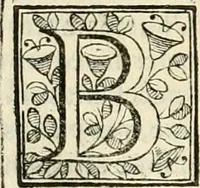 An illustration from D. Ioannis de Solorzano Pereira ... Emblemata centum, regio politica : ligneis laminis affabre caelata, vividisque et limitatis carminibus explicata, & singularibus commentarijs affatim illustrata : quibus, quicquid ad regum institutionem, et rectam reip. administrationem conducere & pertinere videtur, summo studio disseritur ... : cum quadruplici indice absolutissimo .. (1653)