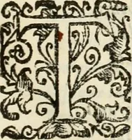 An illustration from D. Ioannis de Solorzano Pereira ... Emblemata centum, regio politica : ligneis laminis affabre caelata, vividisque et limitatis carminibus explicata, & singularibus commentarijs affatim illustrata : quibus, quicquid ad regum institutionem, et rectam reip. administrationem conducere & pertinere videtur, summo studio disseritur ... : cum quadruplici indice absolutissimo .. (1653)