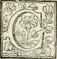 Picture 17 of 193 from D. Ioannis de Solorzano Pereira ... Emblemata centum, regio politica : ligneis laminis affabre caelata, vividisque et limitatis carminibus explicata, & singularibus commentarijs affatim illustrata : quibus, quicquid ad regum institutionem, et rectam reip. administrationem conducere & pertinere videtur, summo studio disseritur ... : cum quadruplici indice absolutissimo .. (1653), leaf 90