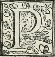 An illustration from D. Ioannis de Solorzano Pereira ... Emblemata centum, regio politica : Aeneis laminis affabre caelata, vividisque, et limatis carminibus explicita, & singularibus commentariis affatim illutrata : quibus, quicquid ad regum institutionem, et rectam reip. administrationem conducere, & pertinere videtur, summo studio disseritur ... cùm quadruplici indice absolutissimo ... (1653)