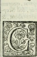 Picture 37 of 193 from D. Ioannis de Solorzano Pereira ... Emblemata centum, regio politica : Aeneis laminis affabre caelata, vividisque, et limatis carminibus explicita, & singularibus commentariis affatim illutrata : quibus, quicquid ad regum institutionem, et rectam reip. administrationem conducere, & pertinere videtur, summo studio disseritur ... cùm quadruplici indice absolutissimo ... (1653), leaf 178