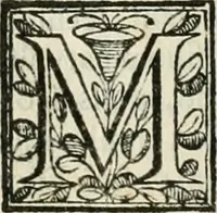 An illustration from D. Ioannis de Solorzano Pereira ... Emblemata centum, regio politica : Aeneis laminis affabre caelata, vividisque, et limatis carminibus explicita, & singularibus commentariis affatim illutrata : quibus, quicquid ad regum institutionem, et rectam reip. administrationem conducere, & pertinere videtur, summo studio disseritur ... cùm quadruplici indice absolutissimo ... (1653)