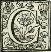Picture 72 of 193 from D. Ioannis de Solorzano Pereira ... Emblemata centum, regio politica : Aeneis laminis affabre caelata, vividisque, et limatis carminibus explicita, & singularibus commentariis affatim illutrata : quibus, quicquid ad regum institutionem, et rectam reip. administrationem conducere, & pertinere videtur, summo studio disseritur ... cùm quadruplici indice absolutissimo ... (1653), leaf 289