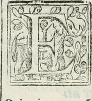 Picture 97 of 193 from D. Ioannis de Solorzano Pereira ... Emblemata centum, regio politica : Aeneis laminis affabre caelata, vividisque, et limatis carminibus explicita, & singularibus commentariis affatim illutrata : quibus, quicquid ad regum institutionem, et rectam reip. administrationem conducere, & pertinere videtur, summo studio disseritur ... cùm quadruplici indice absolutissimo ... (1653), leaf 401
