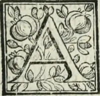 Picture 5 of 193 from D. Ioannis de Solorzano Pereira ... Emblemata centum, regio politica : Aeneis laminis affabre caelata, vividisque, et limatis carminibus explicita, & singularibus commentariis affatim illutrata : quibus, quicquid ad regum institutionem, et rectam reip. administrationem conducere, & pertinere videtur, summo studio disseritur ... cùm quadruplici indice absolutissimo ... (1653), leaf 44