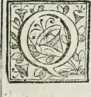 Picture 104 of 193 from D. Ioannis de Solorzano Pereira ... Emblemata centum, regio politica : Aeneis laminis affabre caelata, vividisque, et limatis carminibus explicita, & singularibus commentariis affatim illutrata : quibus, quicquid ad regum institutionem, et rectam reip. administrationem conducere, & pertinere videtur, summo studio disseritur ... cùm quadruplici indice absolutissimo ... (1653), leaf 447