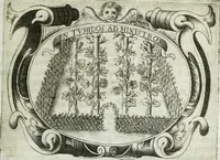 Picture 113 of 193 from D. Ioannis de Solorzano Pereira ... Emblemata centum, regio politica : Aeneis laminis affabre caelata, vividisque, et limatis carminibus explicita, & singularibus commentariis affatim illutrata : quibus, quicquid ad regum institutionem, et rectam reip. administrationem conducere, & pertinere videtur, summo studio disseritur ... cùm quadruplici indice absolutissimo ... (1653), leaf 504