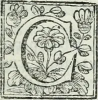 Picture 114 of 193 from D. Ioannis de Solorzano Pereira ... Emblemata centum, regio politica : Aeneis laminis affabre caelata, vividisque, et limatis carminibus explicita, & singularibus commentariis affatim illutrata : quibus, quicquid ad regum institutionem, et rectam reip. administrationem conducere, & pertinere videtur, summo studio disseritur ... cùm quadruplici indice absolutissimo ... (1653), leaf 504