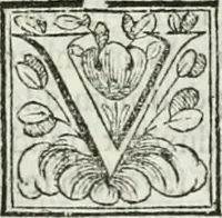Picture 123 of 193 from D. Ioannis de Solorzano Pereira ... Emblemata centum, regio politica : Aeneis laminis affabre caelata, vividisque, et limatis carminibus explicita, & singularibus commentariis affatim illutrata : quibus, quicquid ad regum institutionem, et rectam reip. administrationem conducere, & pertinere videtur, summo studio disseritur ... cùm quadruplici indice absolutissimo ... (1653), leaf 551