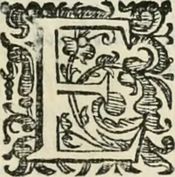 Picture 138 of 193 from D. Ioannis de Solorzano Pereira ... Emblemata centum, regio politica : Aeneis laminis affabre caelata, vividisque, et limatis carminibus explicita, & singularibus commentariis affatim illutrata : quibus, quicquid ad regum institutionem, et rectam reip. administrationem conducere, & pertinere videtur, summo studio disseritur ... cùm quadruplici indice absolutissimo ... (1653), leaf 633