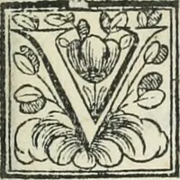 An illustration from D. Ioannis de Solorzano Pereira ... Emblemata centum, regio politica : Aeneis laminis affabre caelata, vividisque, et limatis carminibus explicita, & singularibus commentariis affatim illutrata : quibus, quicquid ad regum institutionem, et rectam reip. administrationem conducere, & pertinere videtur, summo studio disseritur ... cùm quadruplici indice absolutissimo ... (1653)