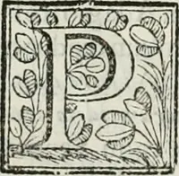 An illustration from D. Ioannis de Solorzano Pereira ... Emblemata centum, regio politica : Aeneis laminis affabre caelata, vividisque, et limatis carminibus explicita, & singularibus commentariis affatim illutrata : quibus, quicquid ad regum institutionem, et rectam reip. administrationem conducere, & pertinere videtur, summo studio disseritur ... cùm quadruplici indice absolutissimo ... (1653)
