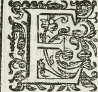 Picture 172 of 193 from D. Ioannis de Solorzano Pereira ... Emblemata centum, regio politica : Aeneis laminis affabre caelata, vividisque, et limatis carminibus explicita, & singularibus commentariis affatim illutrata : quibus, quicquid ad regum institutionem, et rectam reip. administrationem conducere, & pertinere videtur, summo studio disseritur ... cùm quadruplici indice absolutissimo ... (1653), leaf 805