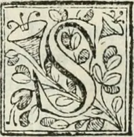 An illustration from D. Ioannis de Solorzano Pereira ... Emblemata centum, regio politica : Aeneis laminis affabre caelata, vividisque, et limatis carminibus explicita, & singularibus commentariis affatim illutrata : quibus, quicquid ad regum institutionem, et rectam reip. administrationem conducere, & pertinere videtur, summo studio disseritur ... cùm quadruplici indice absolutissimo ... (1653)