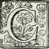 Picture 180 of 193 from D. Ioannis de Solorzano Pereira ... Emblemata centum, regio politica : Aeneis laminis affabre caelata, vividisque, et limatis carminibus explicita, & singularibus commentariis affatim illutrata : quibus, quicquid ad regum institutionem, et rectam reip. administrationem conducere, & pertinere videtur, summo studio disseritur ... cùm quadruplici indice absolutissimo ... (1653), leaf 838