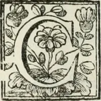 Picture 183 of 193 from D. Ioannis de Solorzano Pereira ... Emblemata centum, regio politica : Aeneis laminis affabre caelata, vividisque, et limatis carminibus explicita, & singularibus commentariis affatim illutrata : quibus, quicquid ad regum institutionem, et rectam reip. administrationem conducere, & pertinere videtur, summo studio disseritur ... cùm quadruplici indice absolutissimo ... (1653), leaf 845