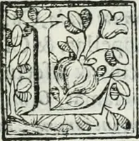 Picture 188 of 193 from D. Ioannis de Solorzano Pereira ... Emblemata centum, regio politica : Aeneis laminis affabre caelata, vividisque, et limatis carminibus explicita, & singularibus commentariis affatim illutrata : quibus, quicquid ad regum institutionem, et rectam reip. administrationem conducere, & pertinere videtur, summo studio disseritur ... cùm quadruplici indice absolutissimo ... (1653), leaf 864