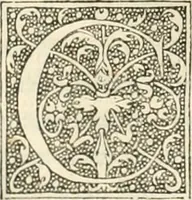 An illustration from Dion historien grec, Des faictz & gestes insignes des Romains : redvictz par annalles et consulatz, commençant au consulat de Lucius Cotta & Lucius Torquatus ... (1542)