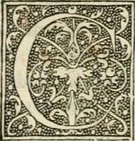 Picture 25 of 51 from Dion historien grec, Des faictz & gestes insignes des Romains : redvictz par annalles et consulatz, commençant au consulat de Lucius Cotta & Lucius Torquatus ... (1542), leaf 198