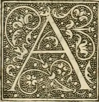 An illustration from Dion historien grec, Des faictz & gestes insignes des Romains : redvictz par annalles et consulatz, commençant au consulat de Lucius Cotta & Lucius Torquatus ... (1542)