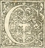 An illustration from Dion historien grec, Des faictz & gestes insignes des Romains : redvictz par annalles et consulatz, commençant au consulat de Lucius Cotta & Lucius Torquatus ... (1542)