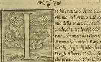 Picture 2 of 7 from Dioscoride Anazarbeo della materia medicinale (1547), leaf 132
