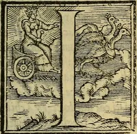 An illustration from Dioscoride Anazarbeo della materia medicinale (1547)