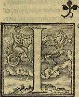 Picture 4 of 7 from Dioscoride Anazarbeo della materia medicinale (1547), leaf 356