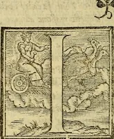An illustration from Dioscoride Anazarbeo della materia medicinale (1547)