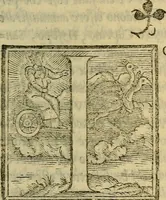 An illustration from Dioscoride Anazarbeo della materia medicinale (1547)