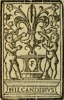 Picture 7 of 7 from Dioscoride Anazarbeo della materia medicinale (1547), leaf 617