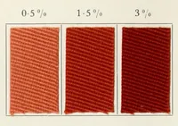 An illustration from Direct dyestuffs (1900)