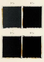 Picture 8 of 9 from Direct dyestuffs (1900), leaf 77