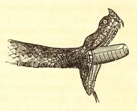 Picture 2 of 3 from Directions for collecting, preserving and transporting specimens of natural history (1852), leaf 14