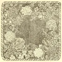 An illustration from Directions for making French raised worsted work (1880)