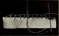 An illustration from Directions for making Poncetto lace (1917)