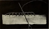 An illustration from Directions for making Poncetto lace (1917)
