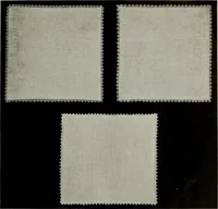 An illustration from Directions for making Poncetto lace (1917)