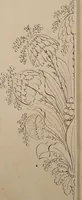 An illustration from Directoire designs for textiles (1793)