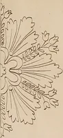 An illustration from Directoire designs for textiles (1793)